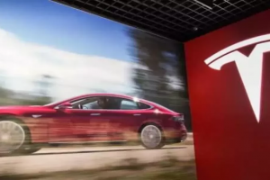 Tesla, Şangay'da üretimini durdurdu