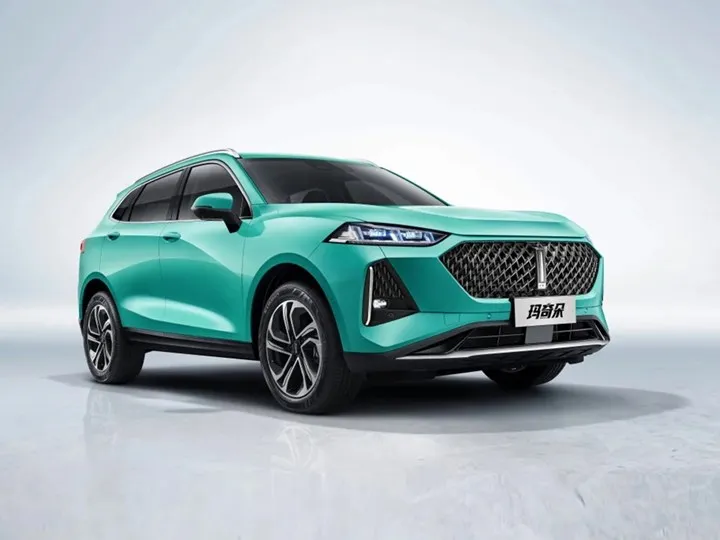 Çinli otomotiv firması Great Wall, Türkiye yatırımını askıya aldı: İşte nedeni